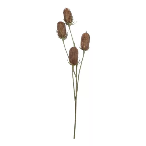 Szálas buzogány barna 34cm