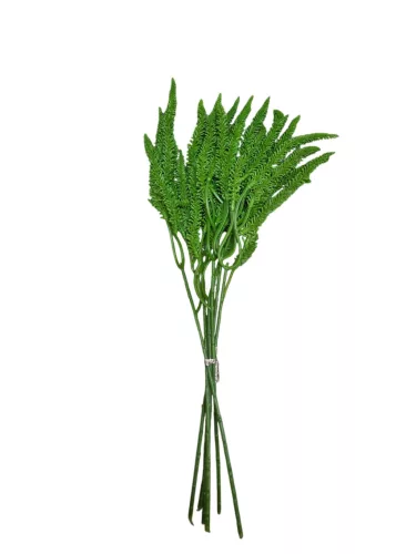 Élethű mű korpafű csokor, zöld