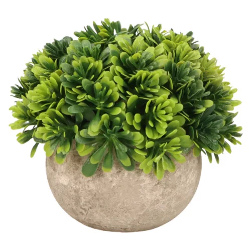 Élethű mű pozsgás növény kaspóban – zöld, 12 cm