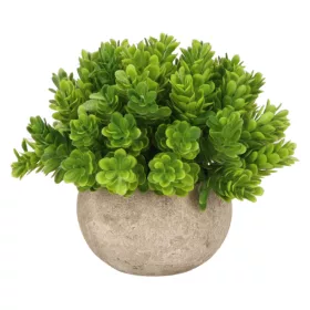 Élethű mű pozsgás növény kaspóban – zöld, 14 cm