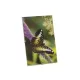 Clip keret 13x18cm