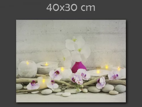 Világító falikép :Rózsaszín orchideák 40x30cm 7 LED