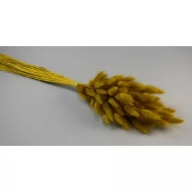 Lagurus 50g sárga