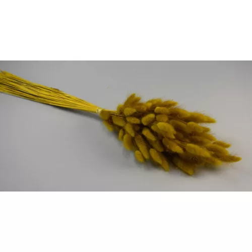 Lagurus 50g sárga