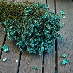 Sóvirág Limonium sinensis preparált vízkék 130g
