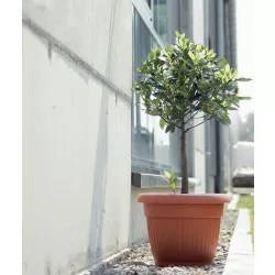 Virágcserép 130 mm Terrakotta TERRA Prosperplast