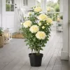Élethű cserepes selyemvirág rózsabokor sárga 112 cm