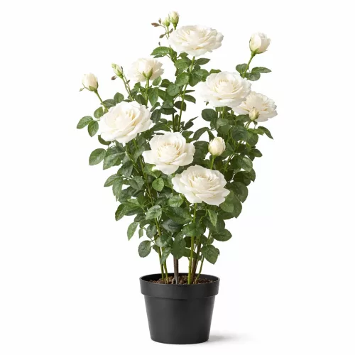 Élethű cserepes selyemvirág rózsabokor fehér 127 cm