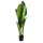 Élethű cserepes műnövény strelitzia zöld 120cm