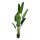 Élethű cserepes műnövény strelitzia zöld 150cm 