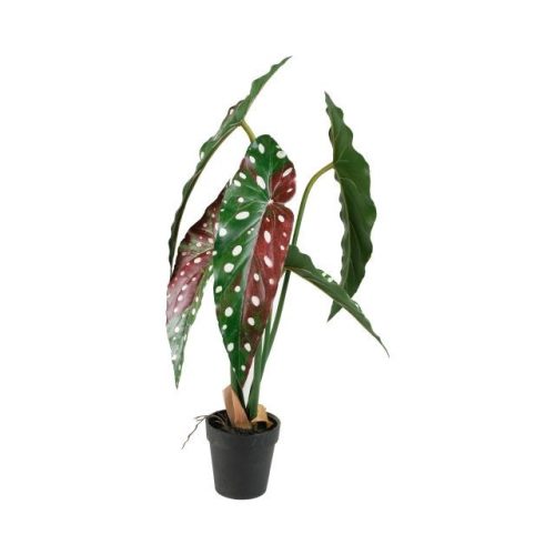 Élethű cserepes műnövény alokázia pöttyös zöld-piros 50cm 