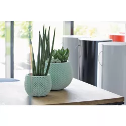 Virágcserép 150mm Őszibarack SPLOFY BOWL Prosperplast