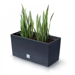 Balkonláda 395 x 185 x195 mm  Fehér Rato
Case Prosperplast