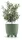 Virágcserép 130N Ryfo Föld zöld 126x126x125 mm Föld zöld Prosperplast