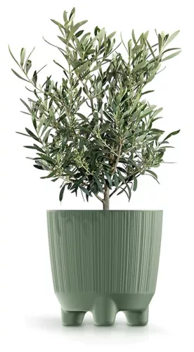 Virágcserép 130N Ryfo Föld zöld 126x126x125 mm Föld zöld Prosperplast