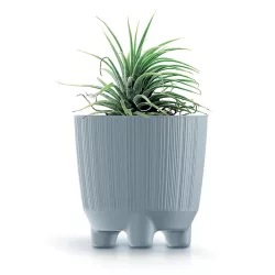 Virágvócserép 150N Ryfo 145x145x145 mm Prosperplast