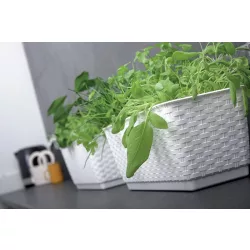 Virágcserép 492 mm Fehér RATOLLA P Prosperplast