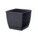Virágcserép 220 x 189 mm Antracit RATOLLA square Prosperplast