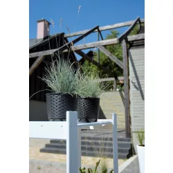 Virágcserép 250 mm Fehér RATOLLA round Prosperplast