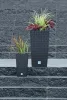 Virágcserép 200 mm Antracit Rato square Prosperplast