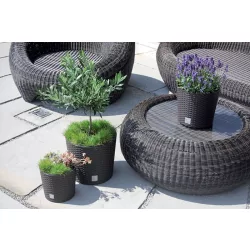 Virágcserép 300 mm Sötét barna RATO ROUND Prosperplast
