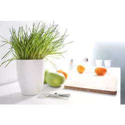 Virágcserép 160 mm Grafit COUBI Prosperplast