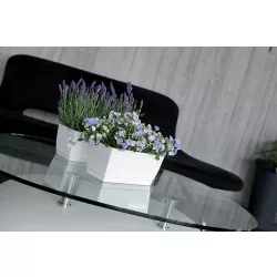   Balkonláda 240x120x110 mm Fehér Ültevényes COUBI Prosperplast