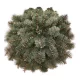 Selyem alap- koszorú kicsi 50cm