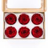 Rose Amor LL Örökrózsa fej 6db vörös RED01