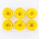 Rose Amor LL Örökrózsa fej 6db sárga YEL02