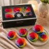 Rose Amor LL Örökrózsa fej 6db piros RED02 RAINBOW