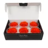 Rose Amor LL Örökrózsa fej 6db BIC01