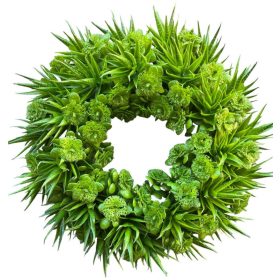 Selyemvirág koszorú 30cm zöld pozsgás