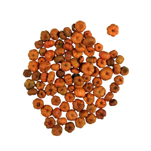 Liliputi tök narancs 90g/cs