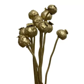 Mák arany glitteres 55cm 50g