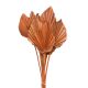 Pálmalevél narancs 10db/cs 45-55cm