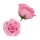 Szappanrózsafej 7,5x6 cm rózsaszín