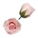 Szappanrózsa fej 6,5x6,5 cm világos rózsaszín