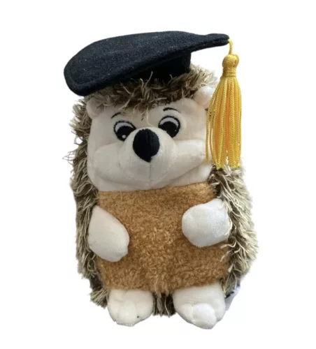 Plüss sündisznó 25cm diploma sapkában 