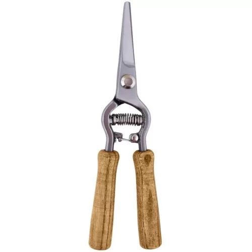 Metszőolló rozsdamentes 21cm