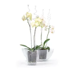Orchidea támasz 01 Coubi Átlátszó 585x90x60 mm