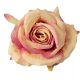 Rózsa selyemvirág fej, 9cm - Krém - Rózsaszín 