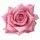 Rózsa selyemvirág fej, 9cm - Rózsaszín
