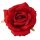 Rózsa selyemvirág fej, 11cm - Piros 