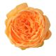 Angol rózsa selyemvirág fej, 10.5cm - Narancssárga