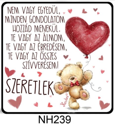 Hűtőmágnes  - Valentín napi ajándék- Nem vagy egyedül