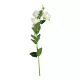 Selyem szálas liziantusz x5 (4+5ág)  80 cm fehér
