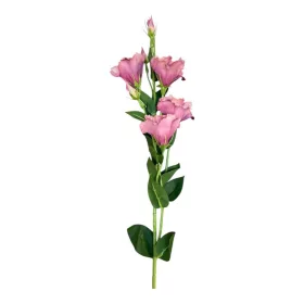 Selyem szálas liziantusz x5 (4+5ág)  80 cm mályva
