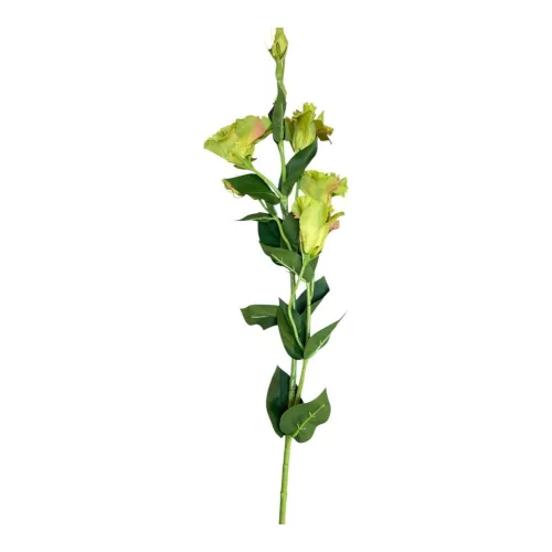 Selyem szálas liziantusz x5 (4+5ág)  80 cm zöld