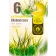 Illatos teamécses 6db/cs.  "Citronella"
